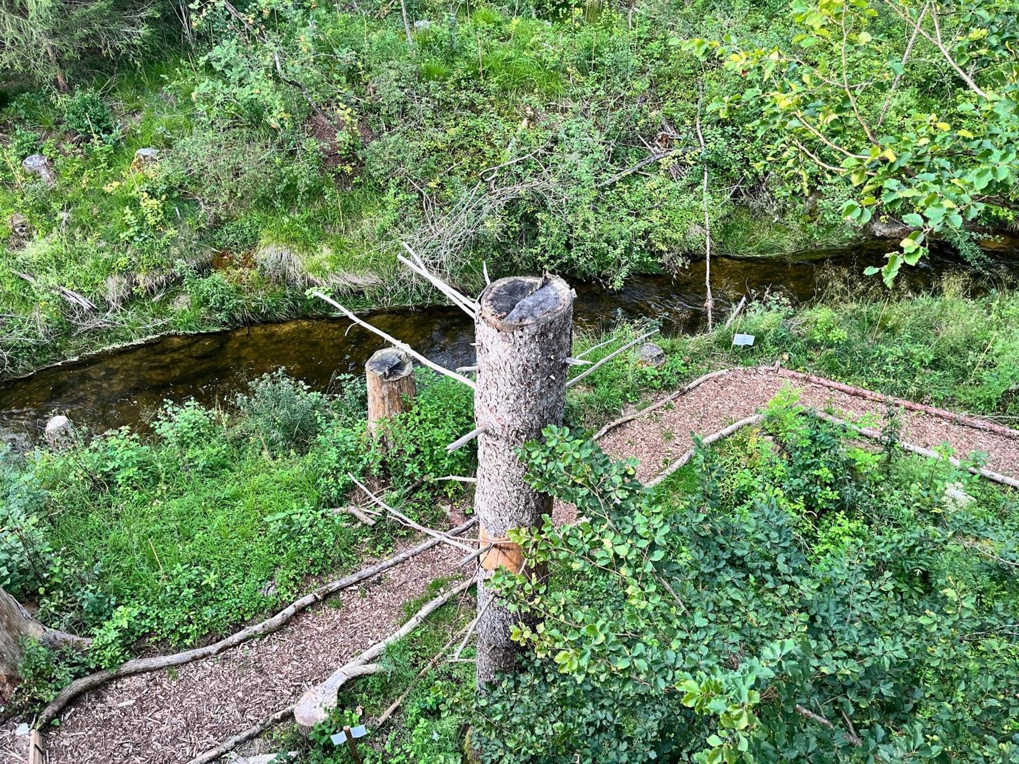 Отель Wald Ist Zukunft Бернбойрен Экстерьер фото