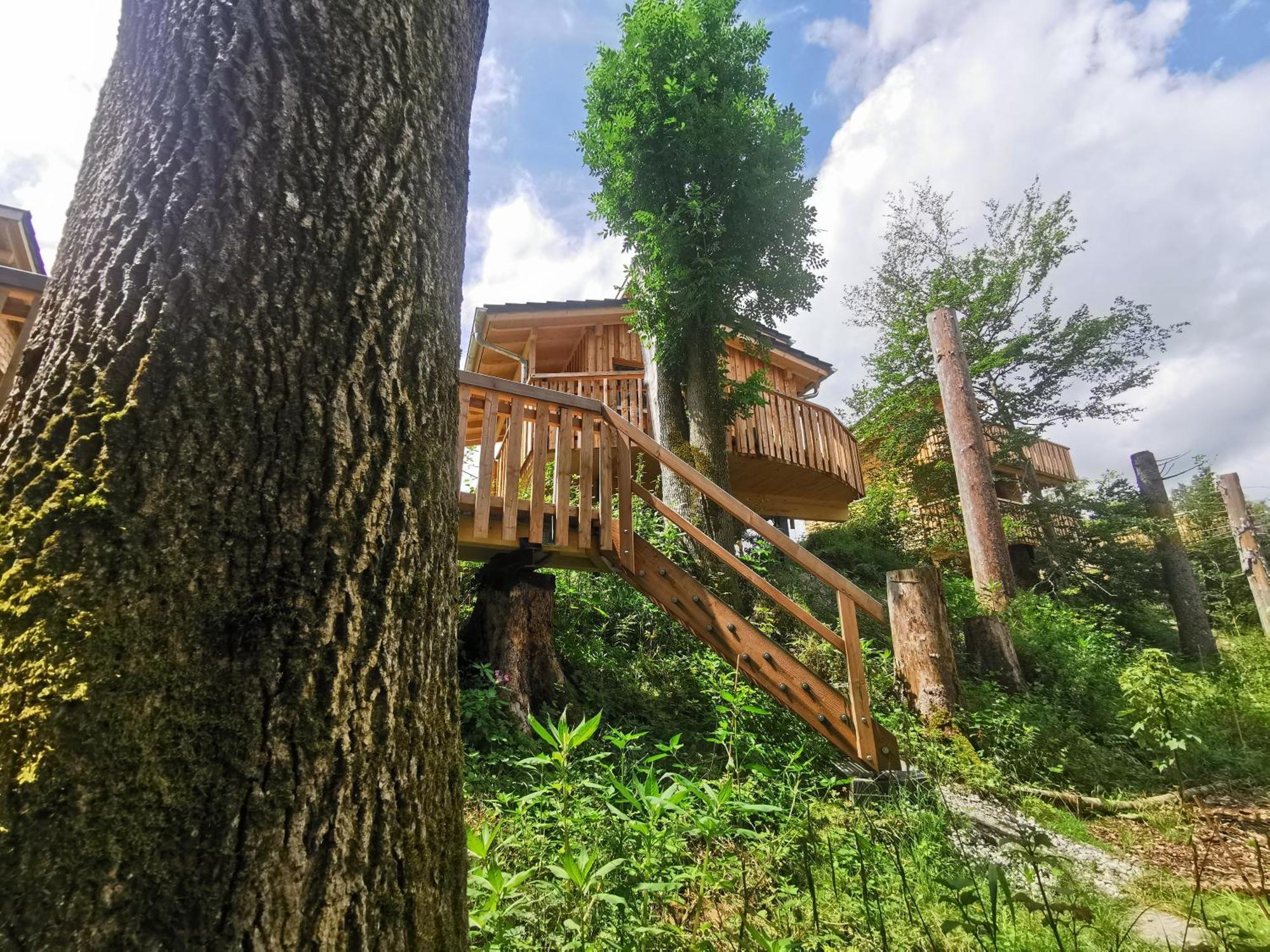 Отель Wald Ist Zukunft Бернбойрен Экстерьер фото