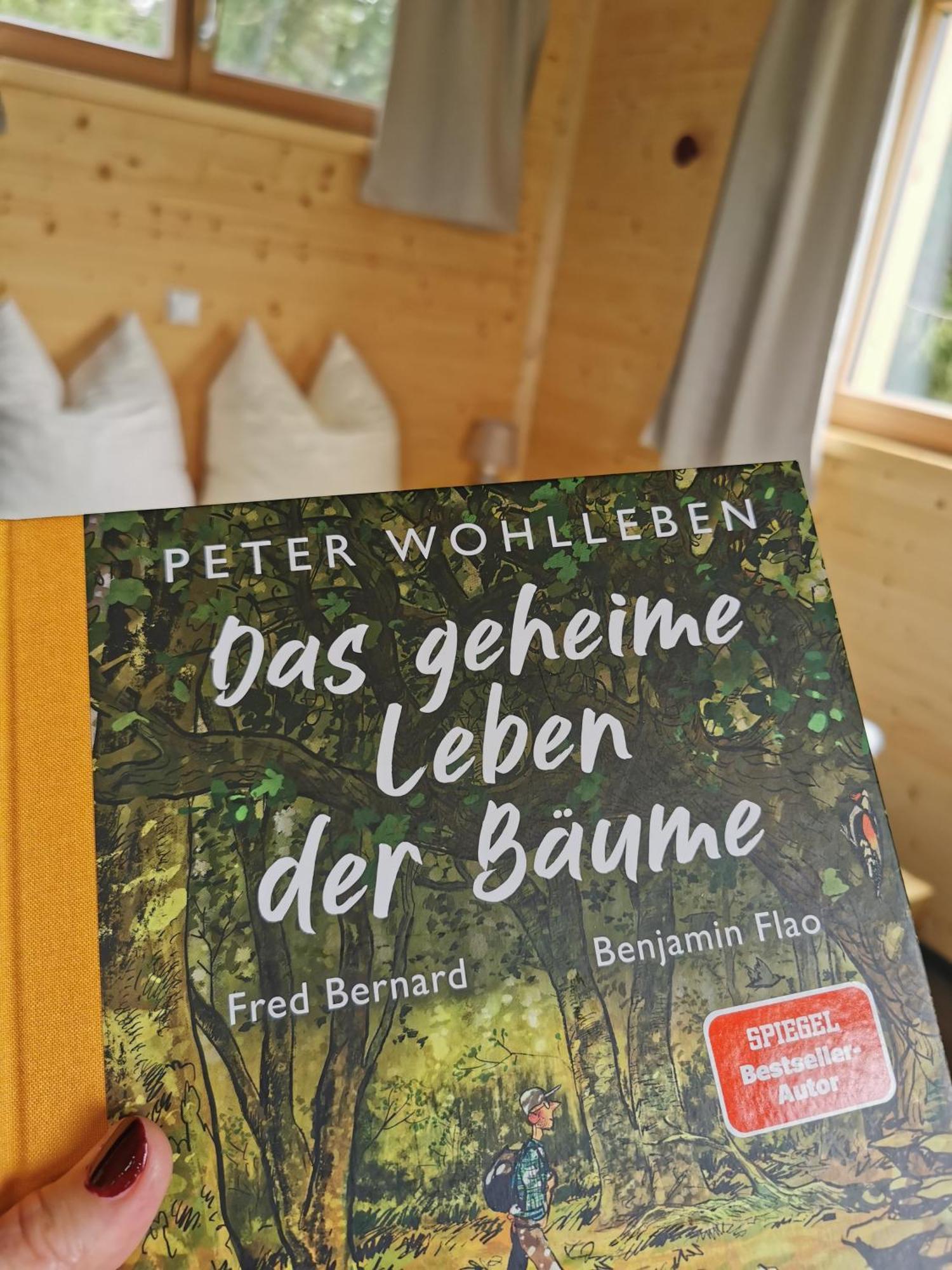 Отель Wald Ist Zukunft Бернбойрен Экстерьер фото