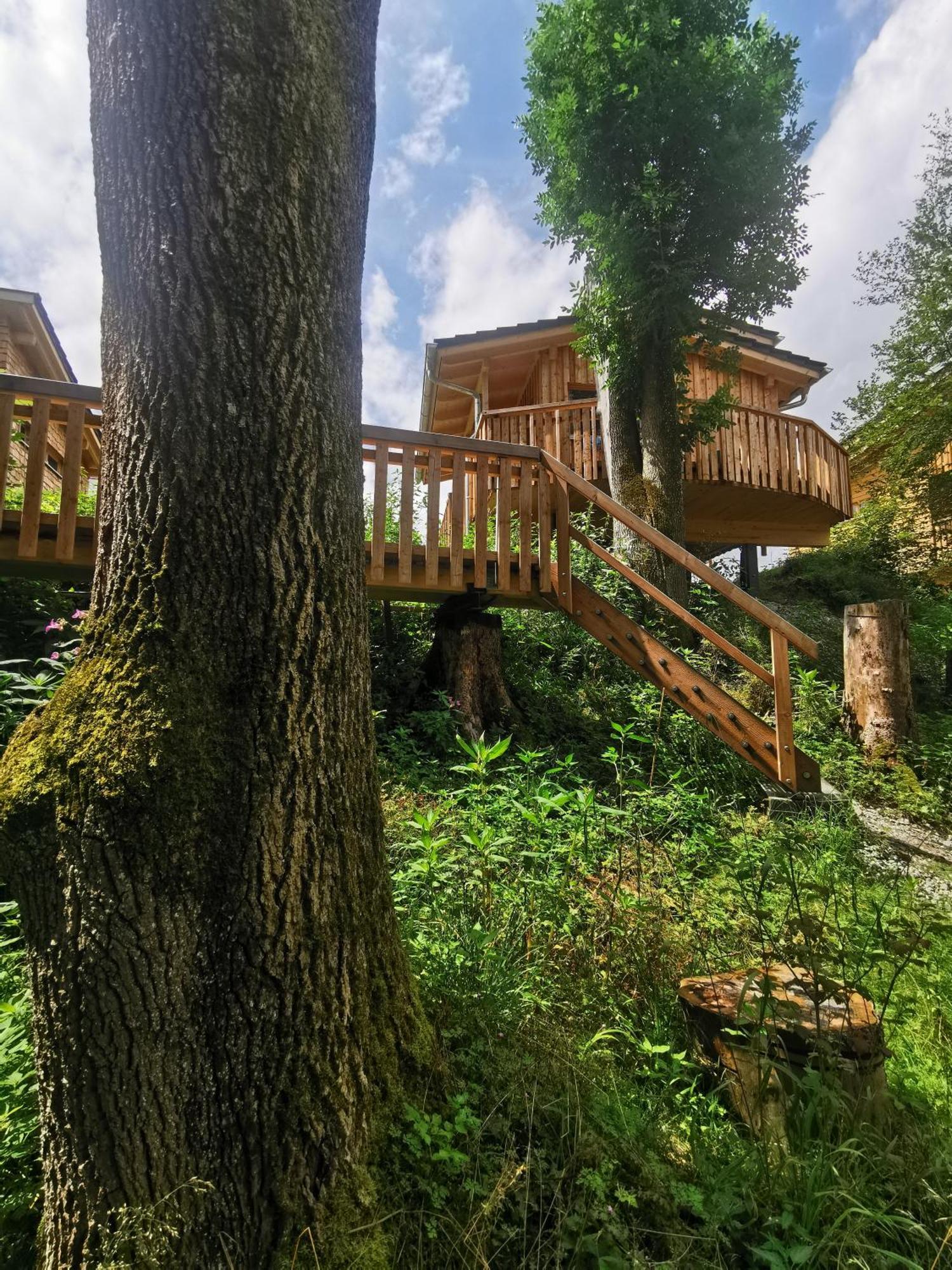 Отель Wald Ist Zukunft Бернбойрен Экстерьер фото
