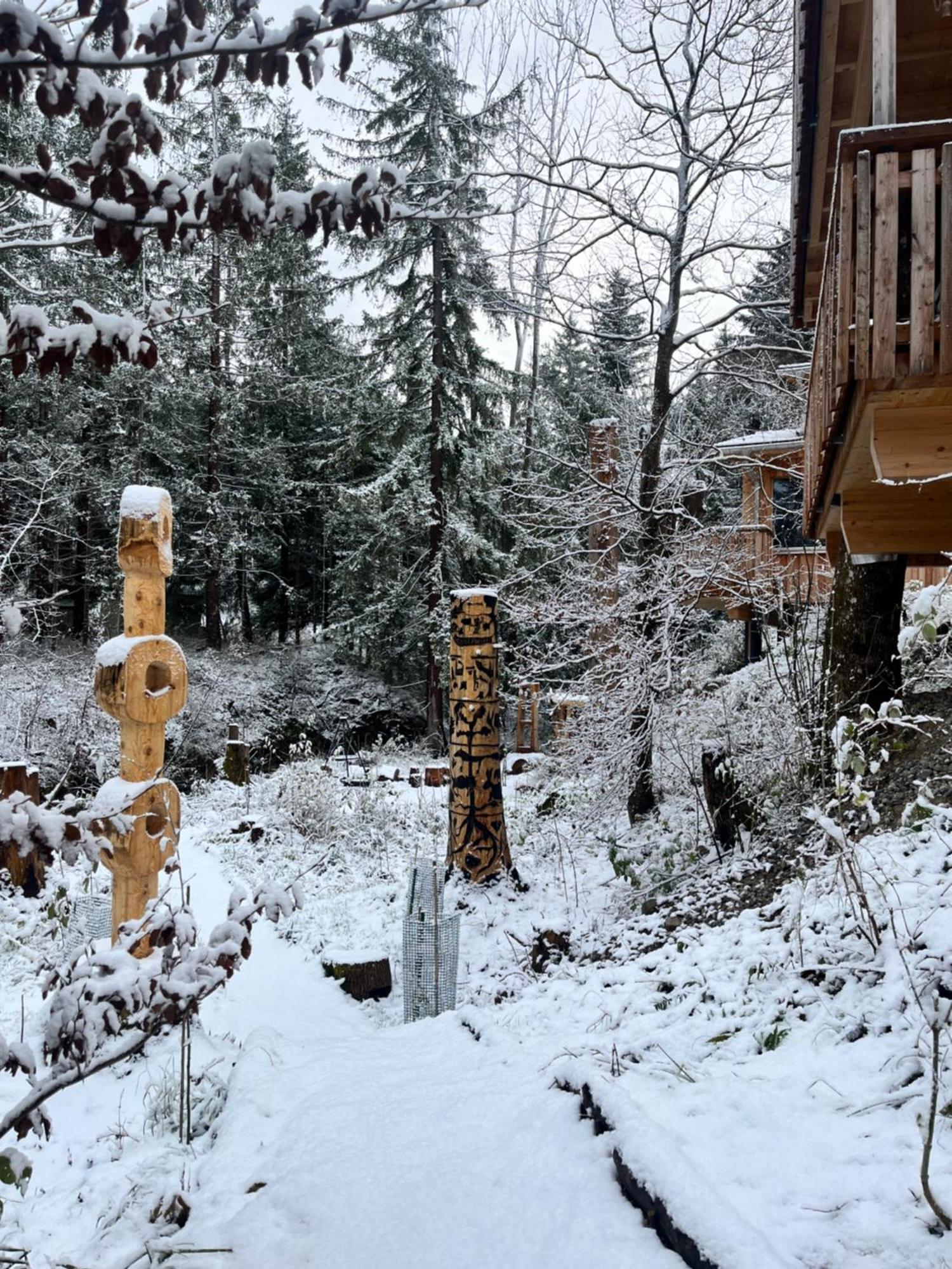 Отель Wald Ist Zukunft Бернбойрен Экстерьер фото