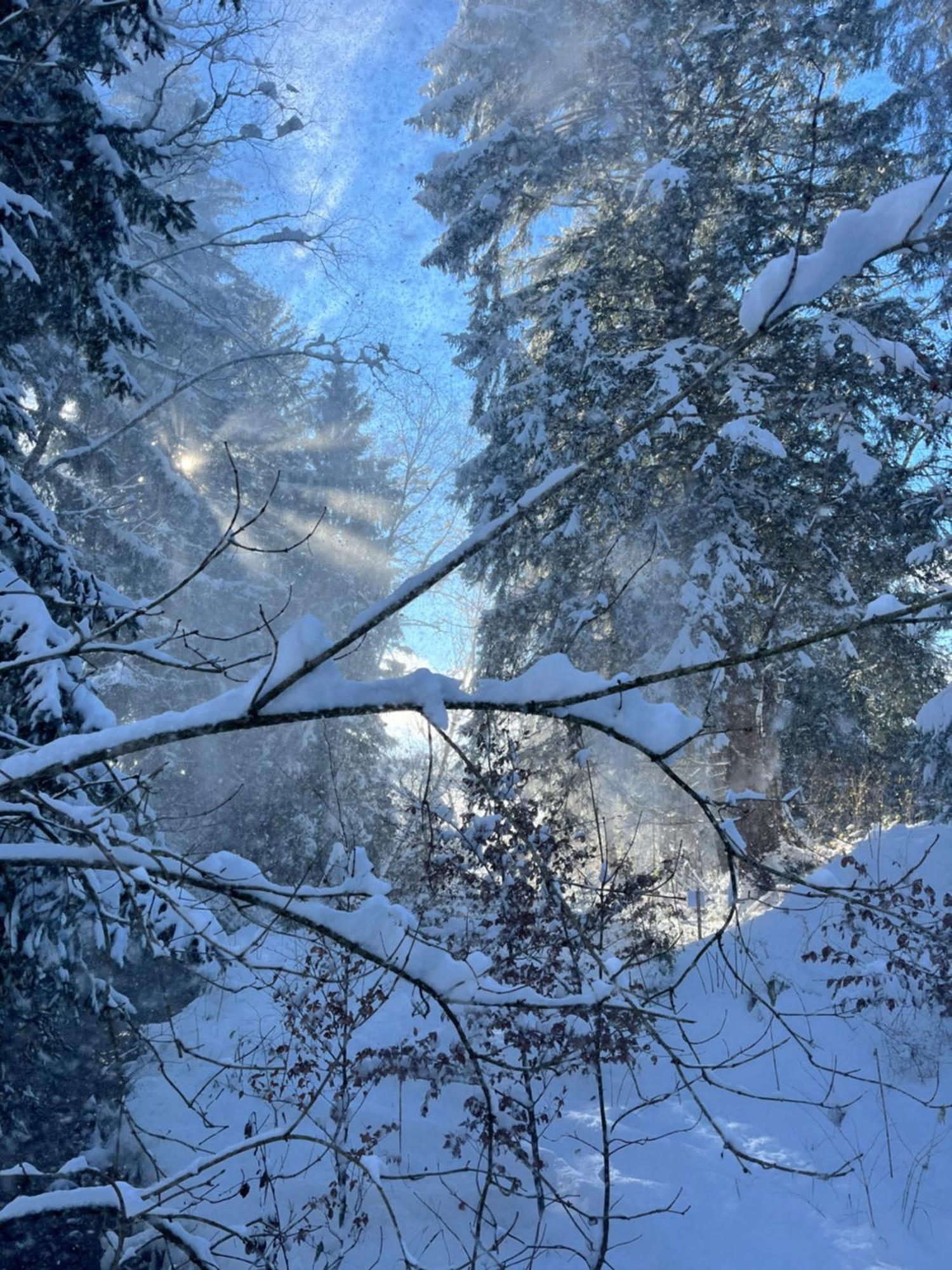 Отель Wald Ist Zukunft Бернбойрен Экстерьер фото